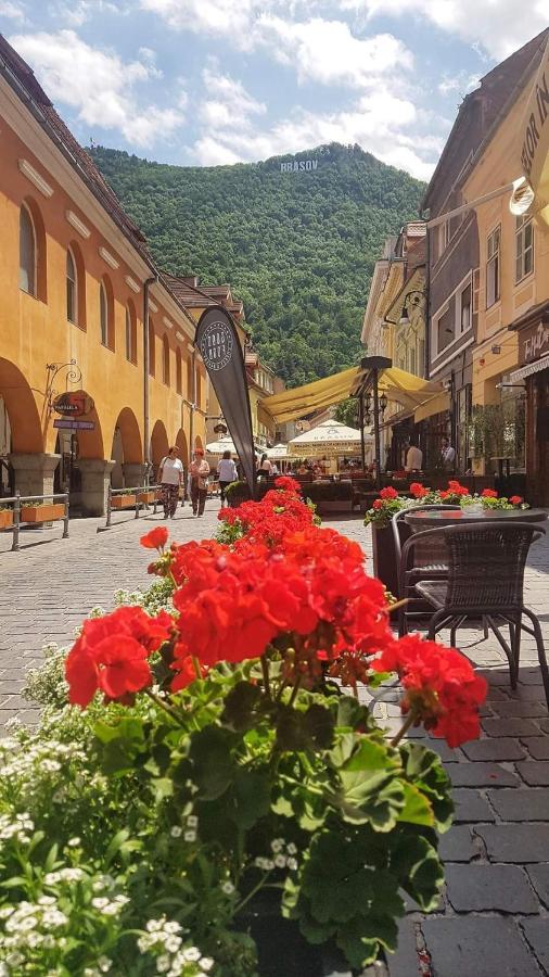 Avantgarden Brasov, Perfect Home - 1 Room Apartment Eksteriør bilde