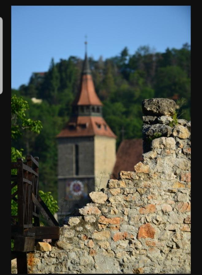 Avantgarden Brasov, Perfect Home - 1 Room Apartment Eksteriør bilde